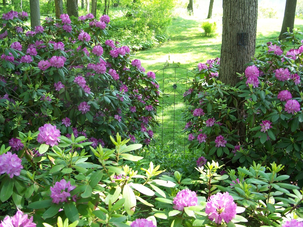 Garden Gate - Inspirational Views from Dining Room & Writer's Studio Panoramic 8' Doors - 12 Ft Bay & Skylights