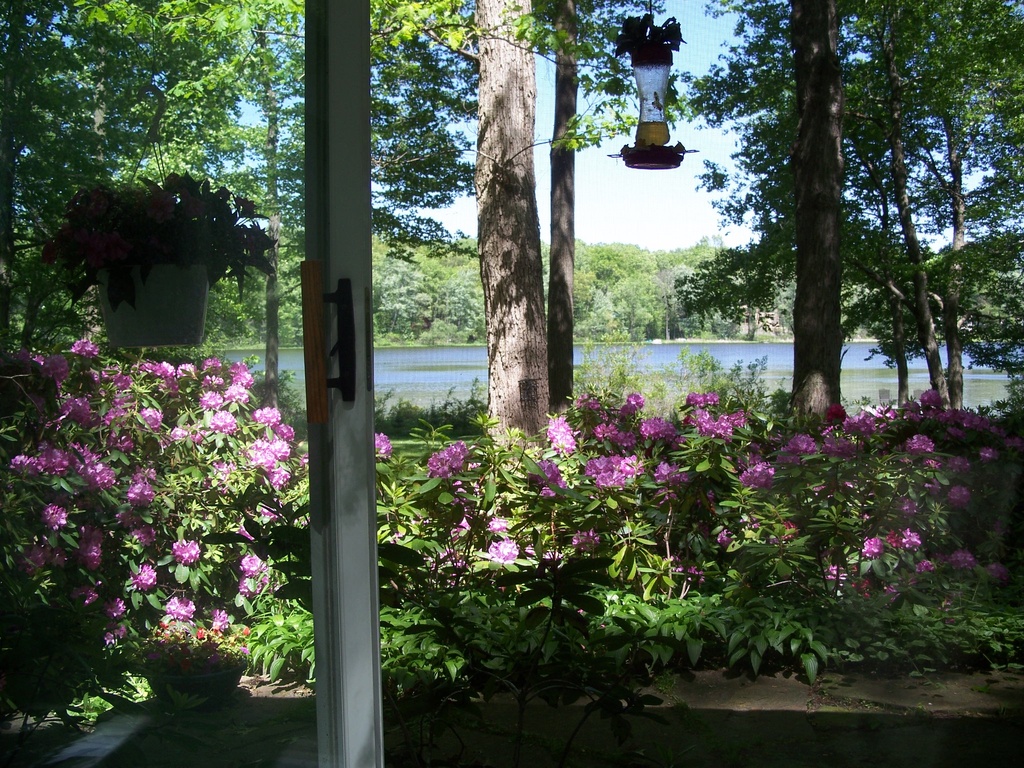 Views X10! This, Your Dining Garden & Writer's Studio Paradise View via Crystal Corner